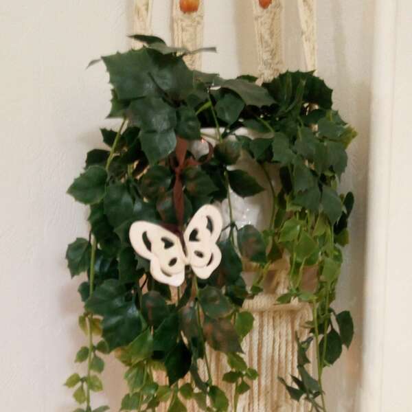 Toucher Podo Energétique et printemps