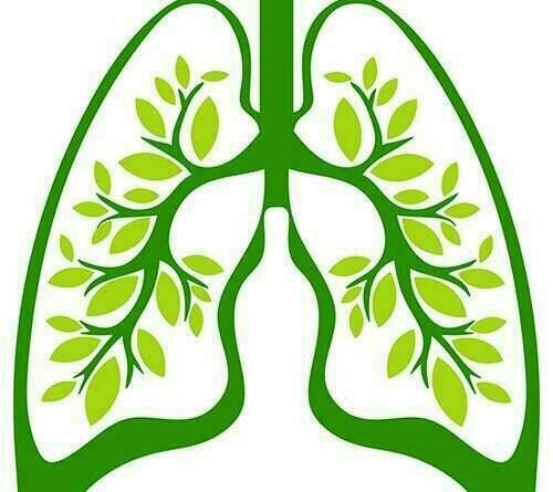 Mois sans tabac: le début d'une vie à plein poumons?