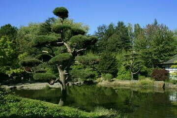 Ateliers de Sophrologie