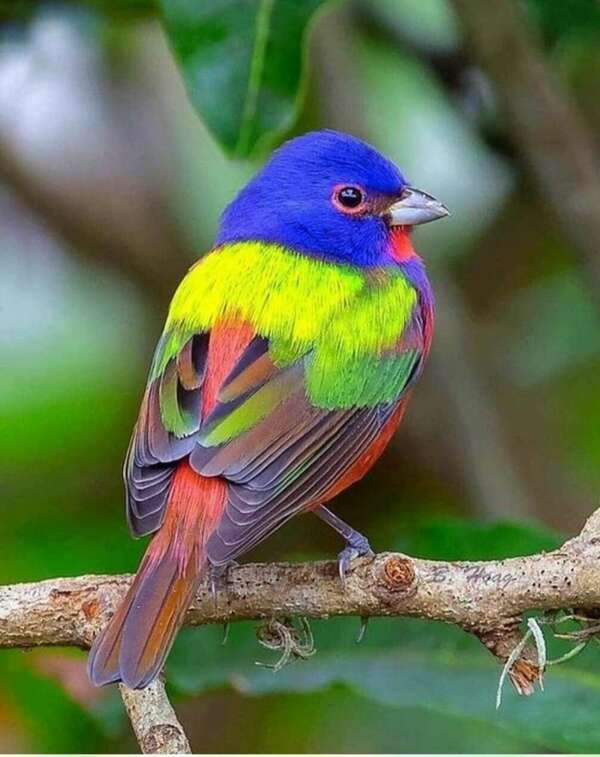 Les saisons: Chinoises ou occidentales?