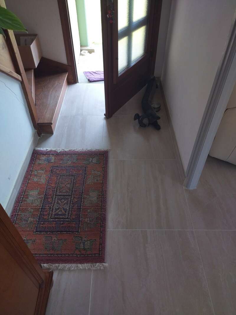 img_20230612_172750294