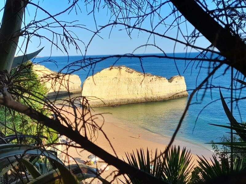 9b02bd20-5abd-42ef-ad0a-880aa9866c6d