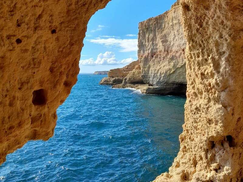 8c466b3e-174f-4b98-a0dd-5618e92b0068