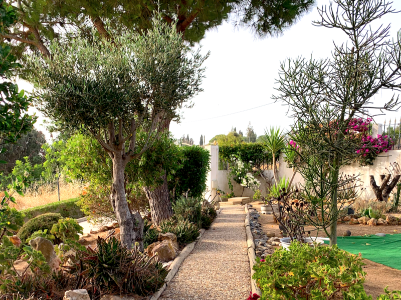 capture_d_ecran_2023-04-27_a_00-38-31