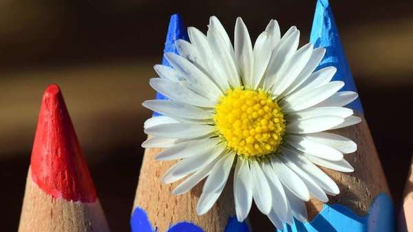 Trouver sa place et faire équipe autour de l'enfant