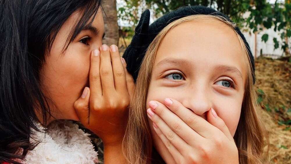  Les outils d'aide à la communication et à la socialisation en milieu scolaire