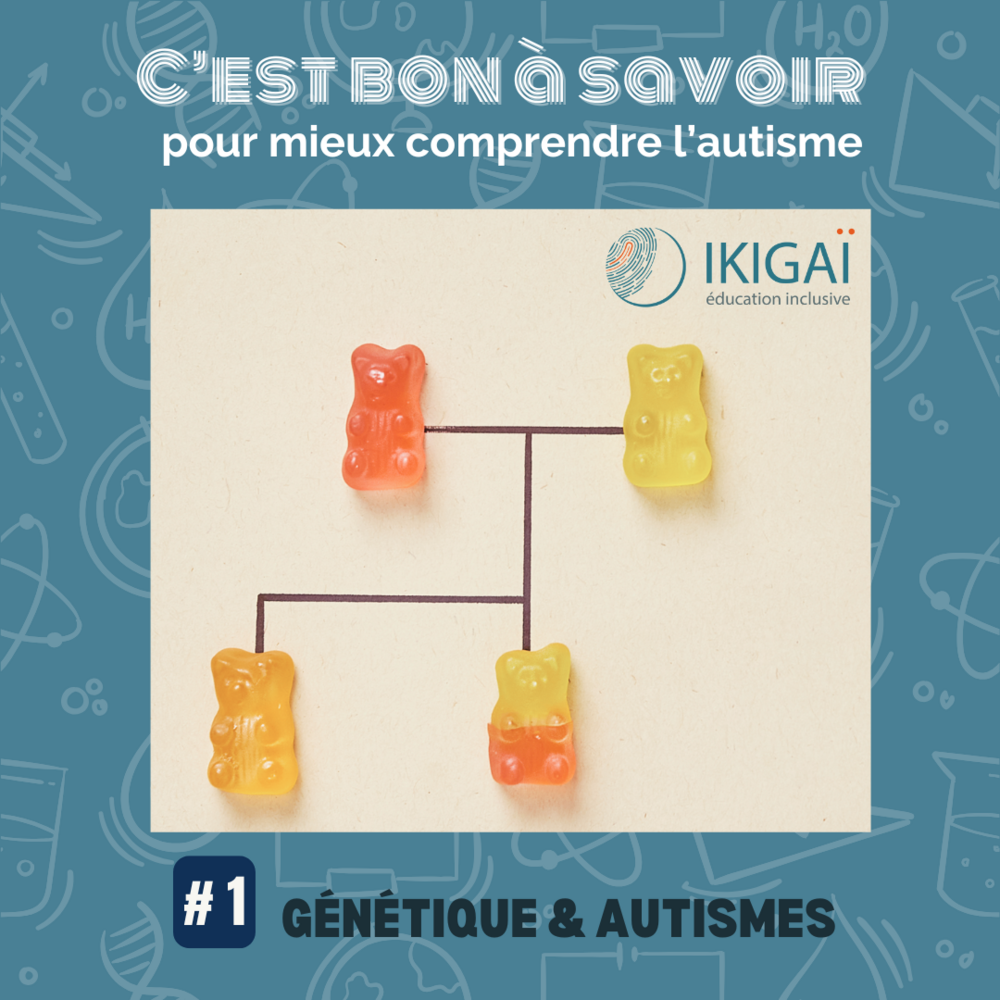 Génétique et Autismes, la vidéo