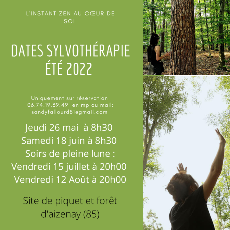 pierre_de_lune_bleu_simple_montage_instagram_publication