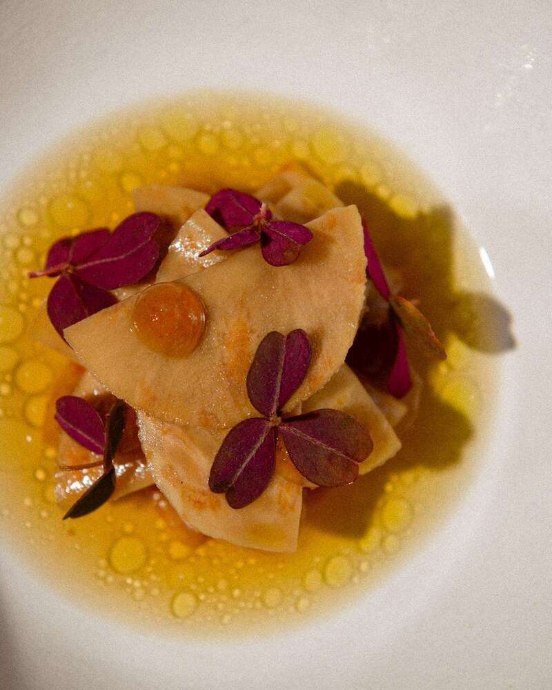 whatsapp_image_2025-05-05_at_21-23-0620251126-4060547-4ikzbk