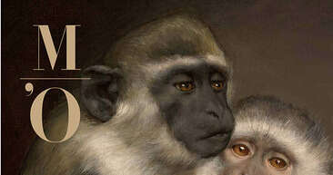 The Origins of the World, Musée d'Orsay