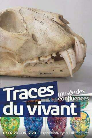 traces_of_living_lyon