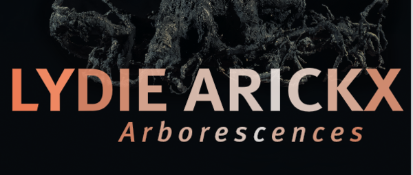 Lydie Arickx, Arborescences au château de Chambord