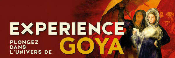 Expérience Goya, Palais des Beaux-Arts de Lille