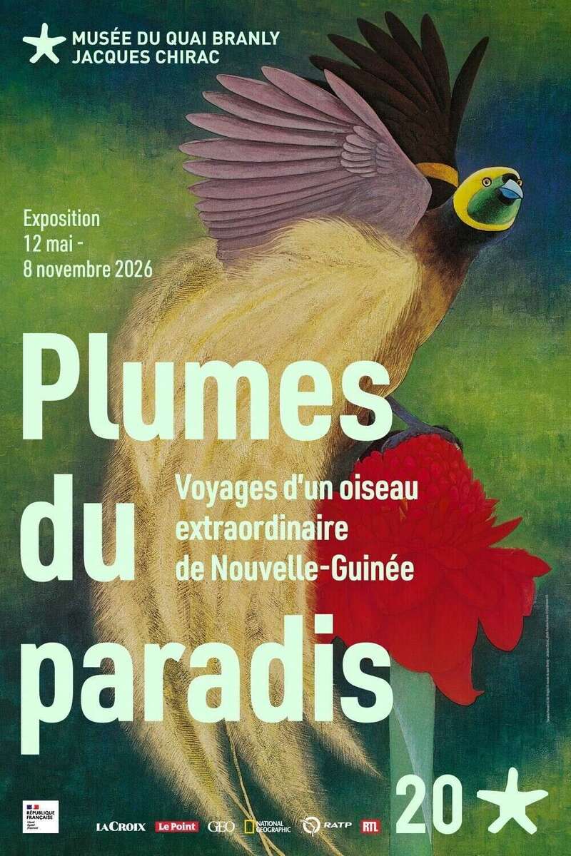 les_plumes_du_paradis