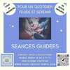 Seances guidees visio et presentiel en petits groupes