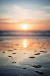 plage soleil couchant yoga nidra muriel denis blois