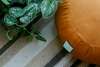 plante verte zafu coussin meditation-pleine-conscience-muriel-denis-blois
