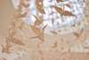 motifs beiges dans l'air seance guidee sophro relaxation coherence cardiaque blois muriel denis