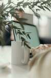 mug laptop plante meditation en live zoom muriel denis janvier 2025