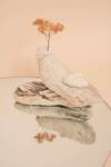 petite-plante-pierres-seances-ateliers-blois-muriel-denis