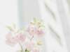 fleurs blanches et roses-sur un fond blanc et doux pour une méditation flash audio et guidée par muriel denis praticienne mindfulness en ligne