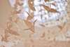papiers tissus beiges sophrologie seances guidees blois muriel denis