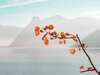 feuilles marron orangé sur fond de ciel clair et zen comme les seances guidees par muriel denis a blois et en visio