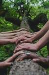 Tronc d'arbre mains Sophro-Balades Méditation Thérapeute Blois