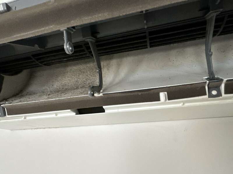 img_179720240321-501036-1lkpnhd