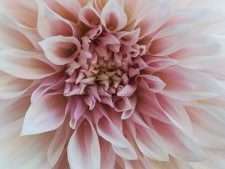 img_20181014_153528-e1540543380513-225x300