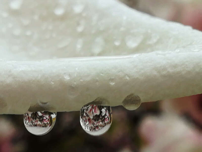 img_20190404_155257_burst001_cover