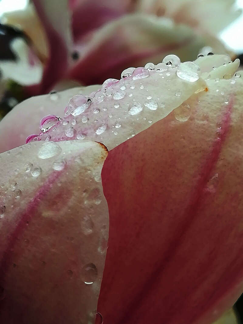 img_20190404_154750b