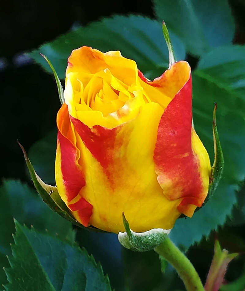 img_20190523_184923-e1562957131309