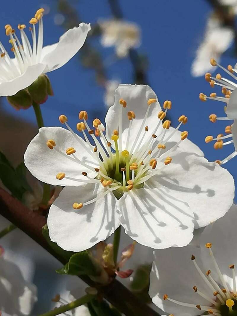 img_20190324_101450-e1555244335760