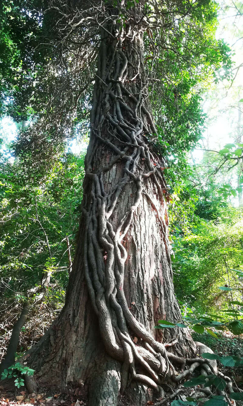 img_20190713_174830b