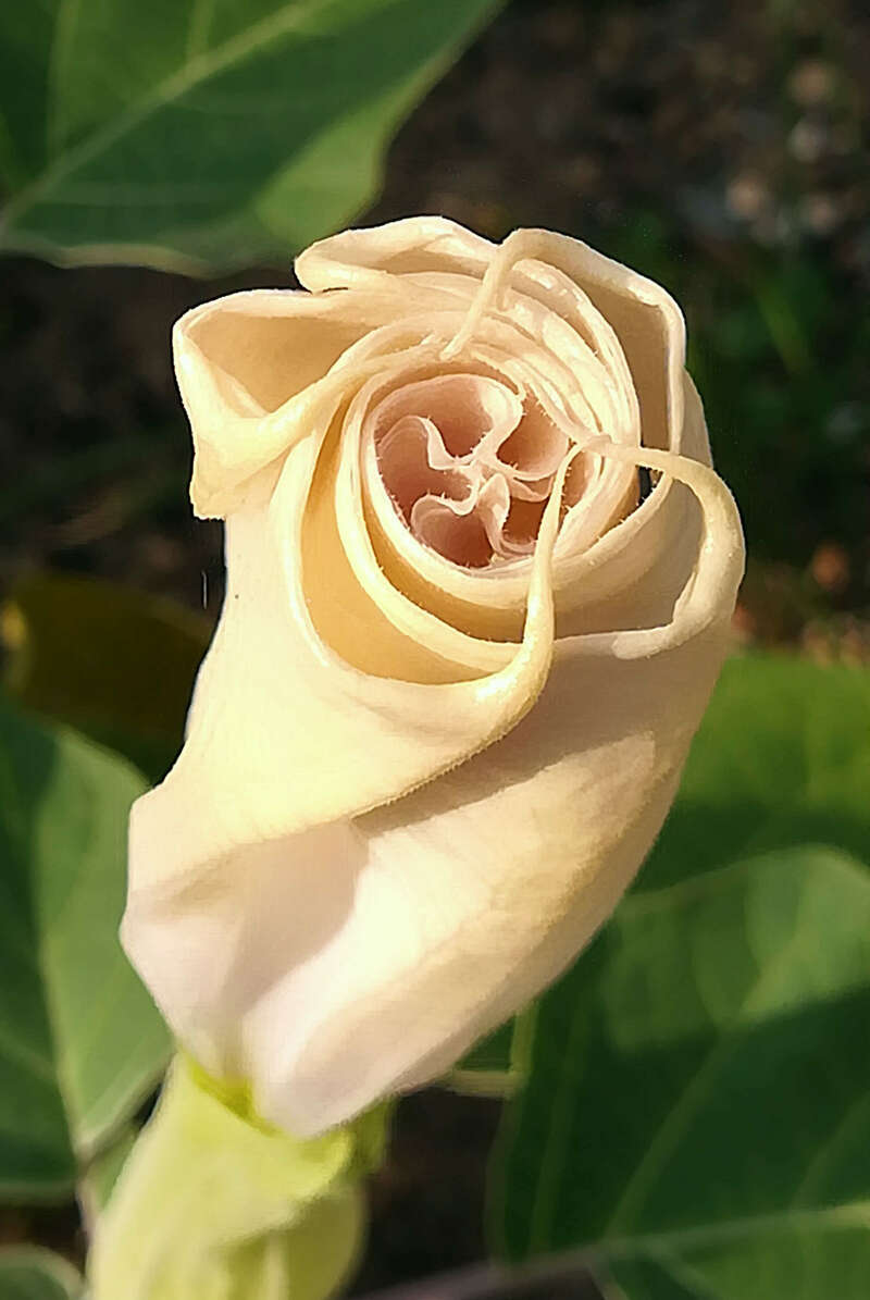 img_20180830_173205b