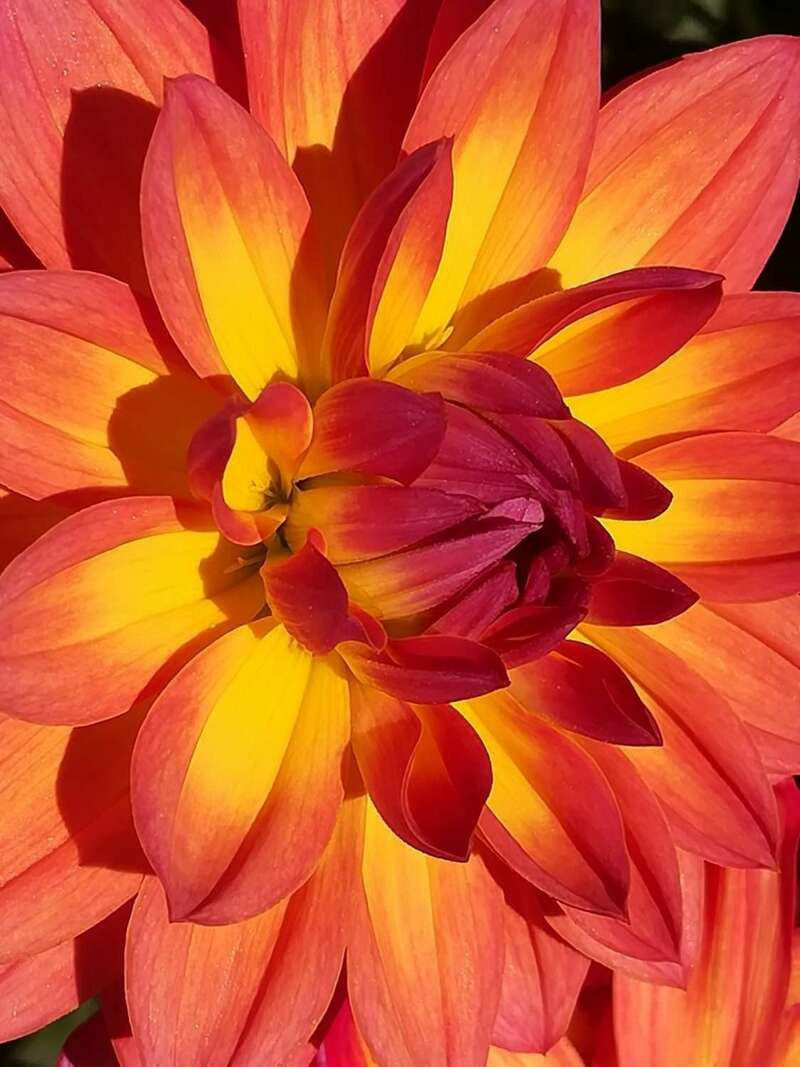 img_20181014_153840-e1540907879960