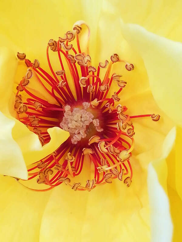 Karma et libre  arbite: loi de responsabilité