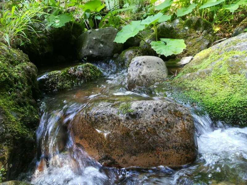 img_20190630_154554_burst001_cover-e1562695623467