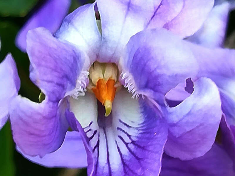 img_20190324_163534b