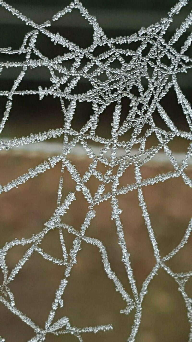 20161206_140954-e1562942369669