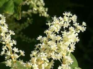 img_20180907_171914-e1543590504921-300x225