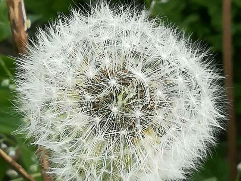 img_20190507_183246-e1562860753323