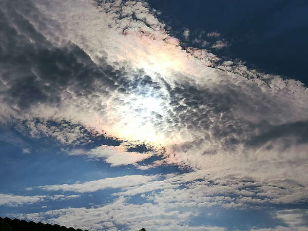 Origine galactique de l'humain