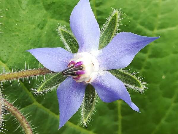 Sexualité: conditionnements et matrice 3D