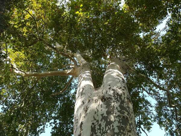 De la nécessité du corps pour l'âme