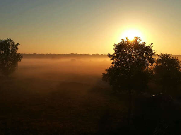 Le son et loi d’attraction