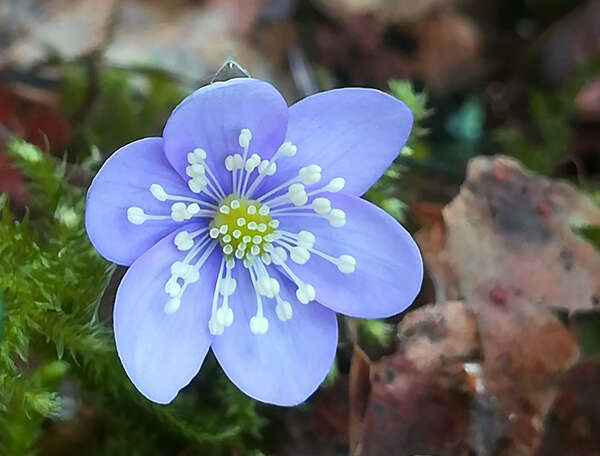 Action-réaction : une même énergie
