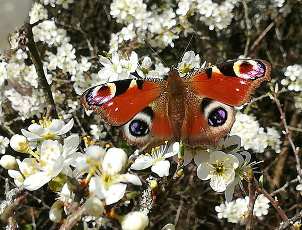 Âme, la mort et l'après-vie