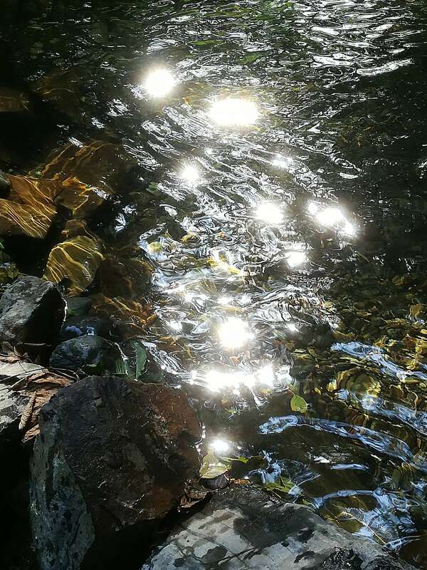 D'où vient l'âme? quel est son rôle?